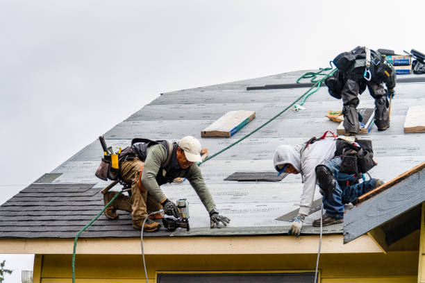 Professional Roofing technician working in Woodford, VA